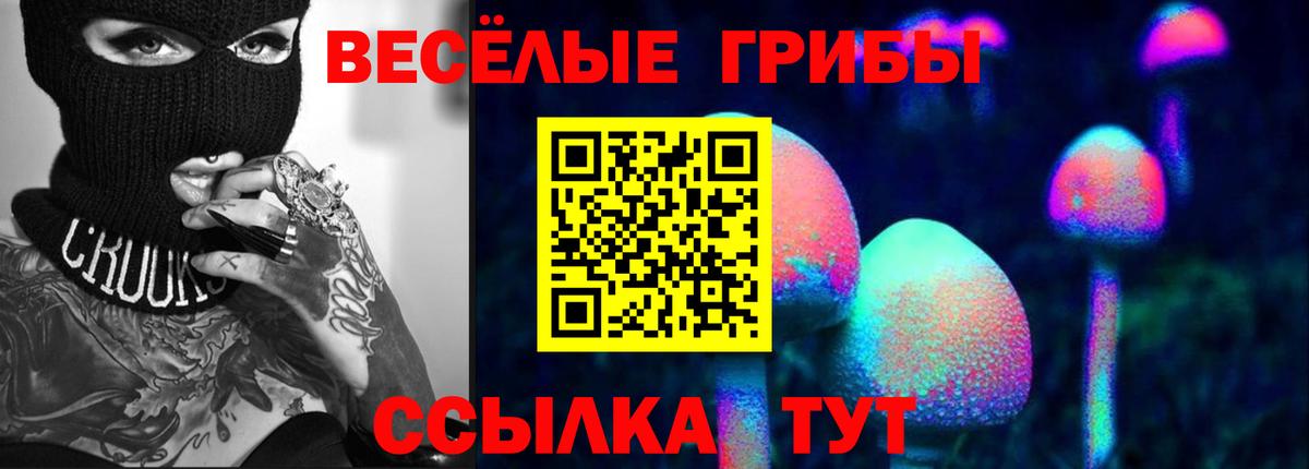 Бийск  Псилоцибиновые грибы мицелий  Вход с VPN 